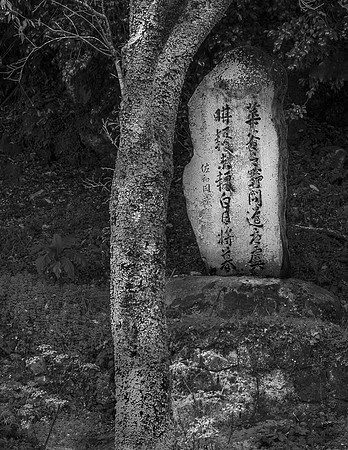 Japan 7