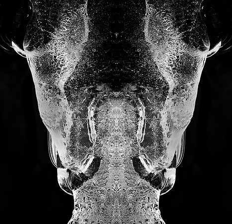 Mirror Abstract 6